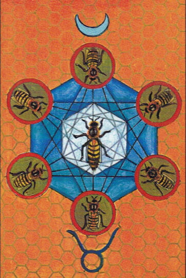 Six of Disks Rosetta Tarot